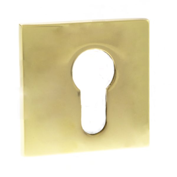 Tupai Exclusivo 5S Line Euro Escutcheon - Polished Brass